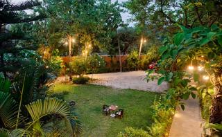 The Forest Roar - Ramnagar - 4