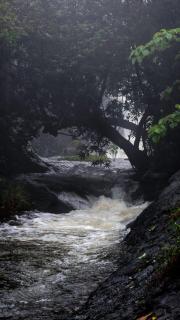 Aruvi Homestay idukki - Chillithodu - 2