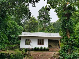 Aruvi Homestay idukki - Chillithodu - 5