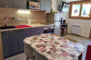 Estatico 1 - T2 duplex apartment sleeps 4 - Névache - 8