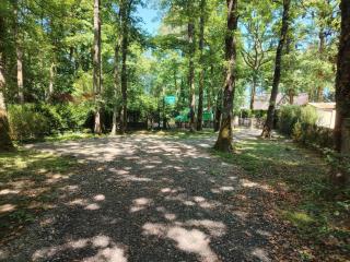 Chalet pleine nature 8mn de Vendôme - Renay - 6