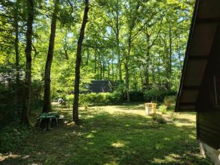 Chalet pleine nature 8mn de Vendôme - 7