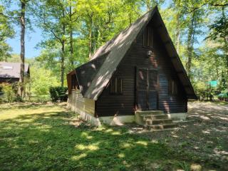 Chalet pleine nature 8mn de Vendôme - 9