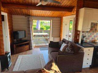 Home From Home LogCabin - Trawsfynydd - 1