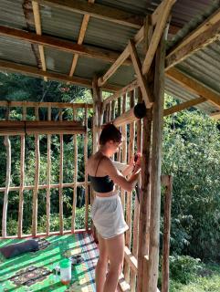 ORANGUTANTREKSUMATRA & LOVELY JUNGLE LODGE only book IF you are treking with us - Bukit Lawang - 8