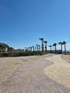 Under Pines - Beach Apartment - Golem - 9