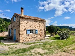 Au mas provençal de Chris - Taradeau - 0
