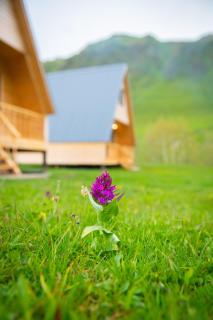 Cottage Caucasus - Uschguli - 7