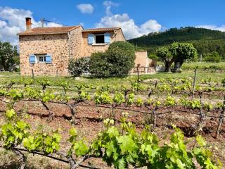 Au mas provençal de Chris - Taradeau - 8
