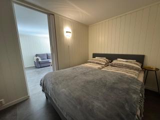 Pool & Sauna Apartment - Porsgrunn - 7