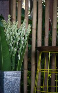 Coconut Corner - Rice Field Dome - Tanah Lot - 7