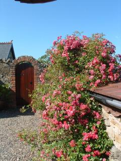 Lough Eske Retreat - Donegal - 1