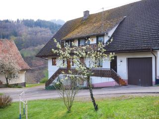 Bühlbauernhof - Bad Peterstal-Griesbach - 4