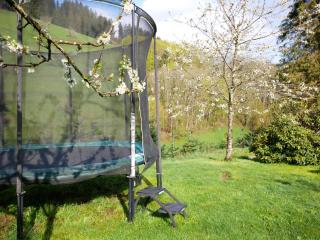 Bühlbauernhof - Bad Peterstal-Griesbach - 7