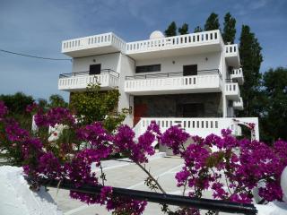 Zourpos Studios & Apartments - Kalyves - 9