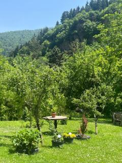 Apartament LashaGiorgi - 9