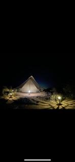 Solar City Glamping - Deming - 9