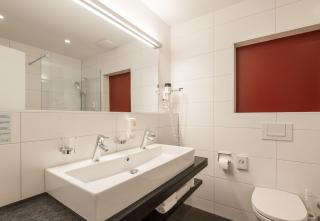 Hotel Alpina Luzern - Lucerna - 6