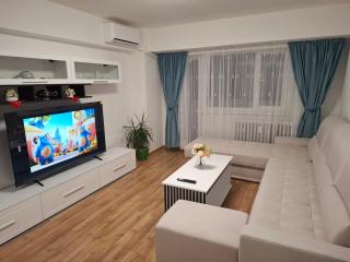 Apartament Piata Victoriei, 3 camere - Bucarest - 9