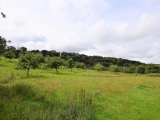 2 Bed in Bampton SHAYN - Huntsham - 1