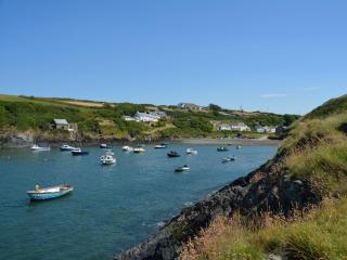 1 Bed in St Davids 62569 - Abercastle - 4