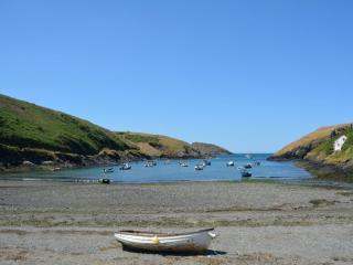 1 Bed in St Davids 62569 - Abercastle - 3