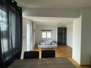 Penthouse mit Außendusche - Klagenfurt - 4