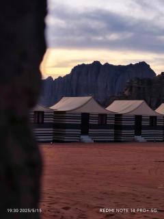 Roos Night - Wadi Rum - 7
