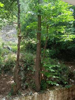 Holiday Bhurban Villa Apartments - Murree - 5