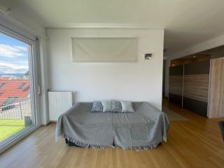 Penthouse mit Dachterrasse - Klagenfurt - 5