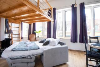 Elegant Studio with Mezzanine - amazing location - Lille - 2