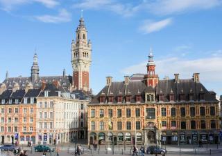 Elegant Studio with Mezzanine - amazing location - Lille - 8