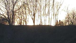 TAOcasa METAL - Olot - 7