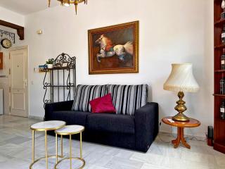 Larga Suite 46 - Ole Solutions - Jerez de la Frontera - 5