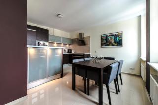 LTS RENT Comfortable RIVER VIEW & ART, Five Rooms - Danzica - 3