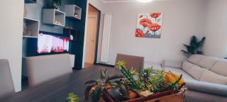 Le case di Sara - Grey Palm - 9
