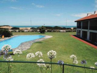 Loft 4P en complejo Draga Inn frente al mar - Punta del Este - 1