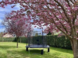 Villa Sakura - Beaumont-en-Auge - 5