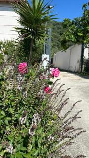 Central Tiny house - Vlorë - 4