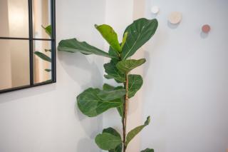 Skyard - Central 2bd House - Cós - 9