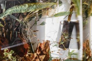 Modern Apartment with balcony in Zurich Center A Hoh - Self Checkin - 2