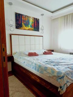 Zlatibor lux apartman i SPA Jeremići - Zlatibor - 3