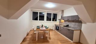 City Center Apartments - Fontána Obilní trh - Brno - 2