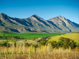 Jan Harmsgat Country House - Swellendam - 4