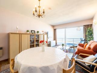 Bright apartment by the beach - Blankenberge - 3