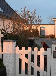 Nordseeblick Ferienhaus - Wobbenbüll - 7