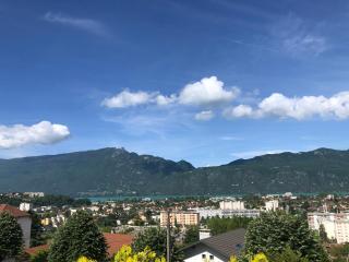 Villa Prune 200m 5 chambres avec piscine et garage - Aix-les-Bains - 9