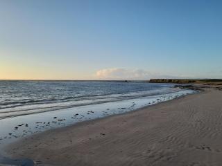 Ocean View - Quilty - 1