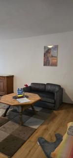 Ganesh House - Biasca - 7