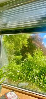 Quiet New Forest attic room den - 4